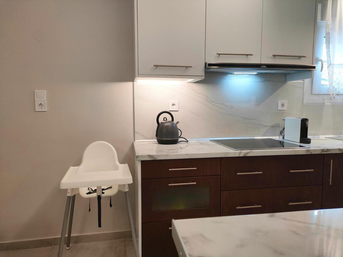 Meteora View Penthouse Διαμέρισμα Καλαμπάκα Εξωτερικό φωτογραφία